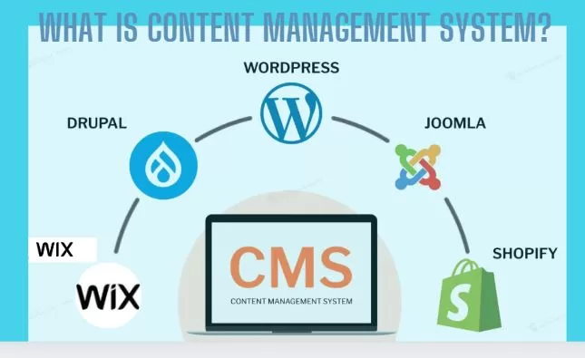 what is CMS